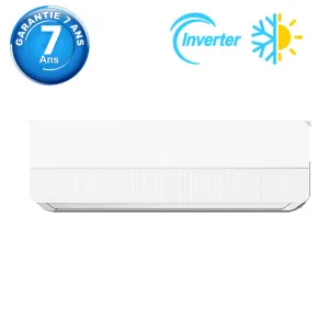 Climatiseur Split 9000 BTU Inverter Tropicalisé Chaud et Froid Maxwell